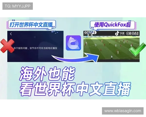 全面介绍世界杯直播平台及中文观看方法，满足不同用户的观看需求与体验提升